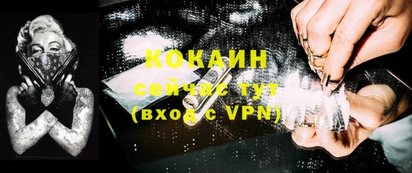 mix Богородицк